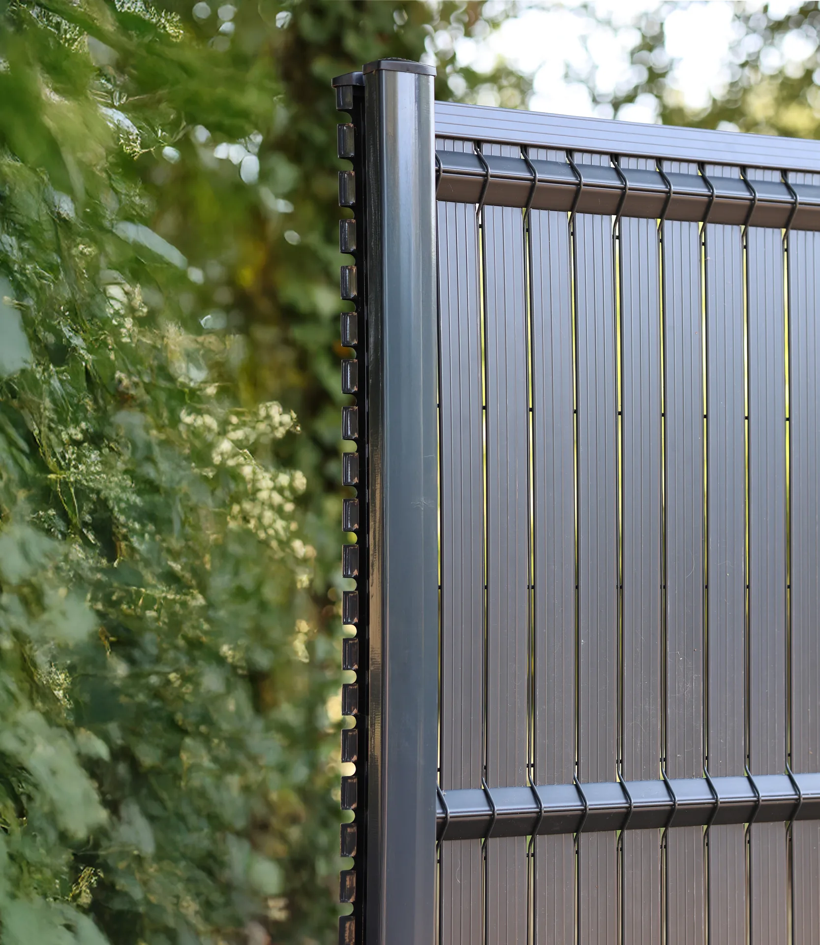 Cloture pvc droit gris anthracite haie detail